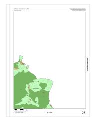 37. list grafike OPN 